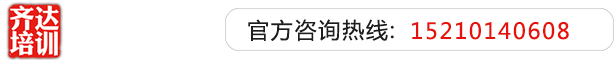 被大鸡巴操逼视频齐达艺考文化课-艺术生文化课,艺术类文化课,艺考生文化课logo